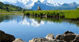 alt offres spéciales